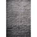 lastolite-LL LB5707-tlo-skladane -urban-white-painted-industrial-brick