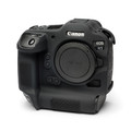 CanonR3-bl03.jpg