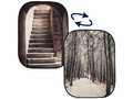 lastolite-ll_lb5740-background-perspective-stone_steps-winter_trees