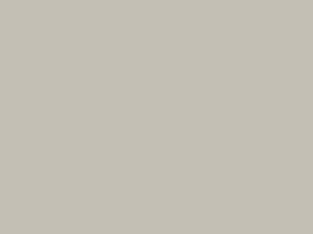 Tło kartonowe na roli 1.37 x 11 m Colorama (Platinium)