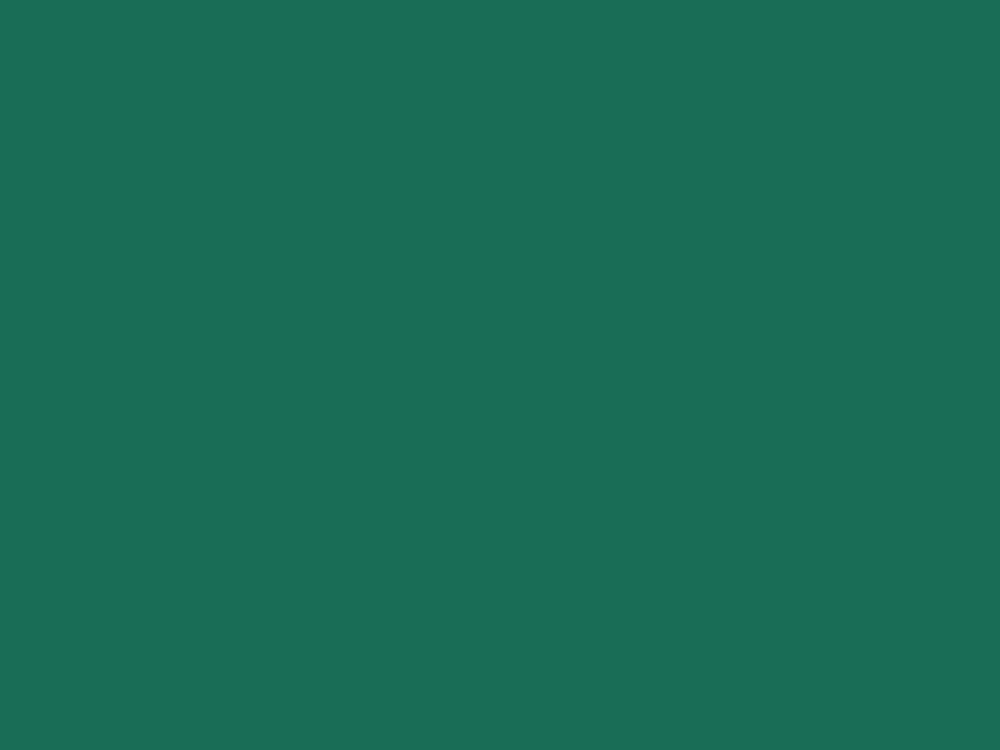 Tło kartonowe na roli 2,70 x 11 m Colorama (Spruce green)