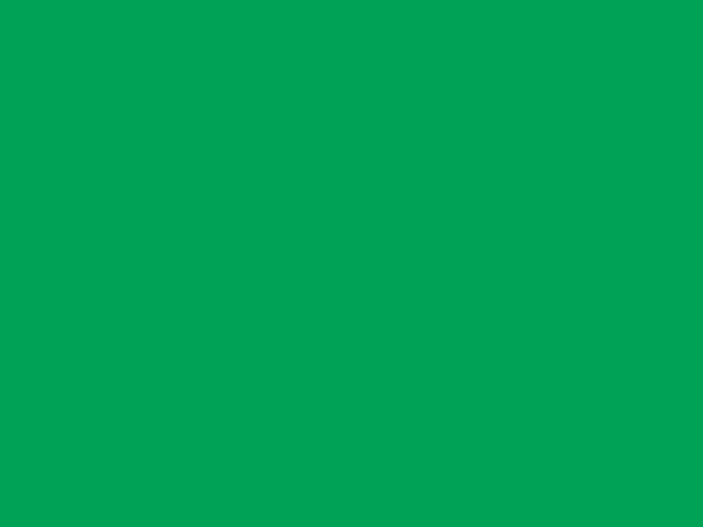 Tło kartonowe na roli 2,70 x 11 m Colorama (Chromagreen - Nettle)