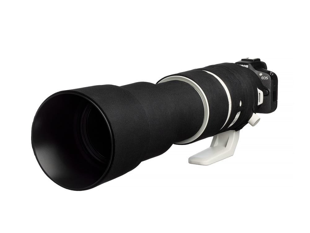 Black_easyCover_Oak_Canon200-800_-06.JPG