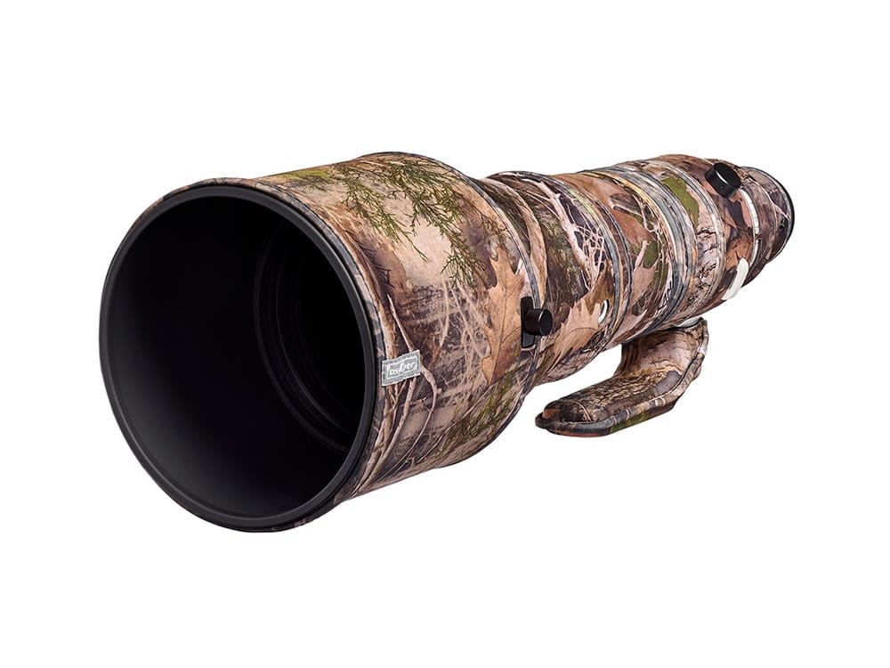 Sigma 300-600 06 KC.jpg