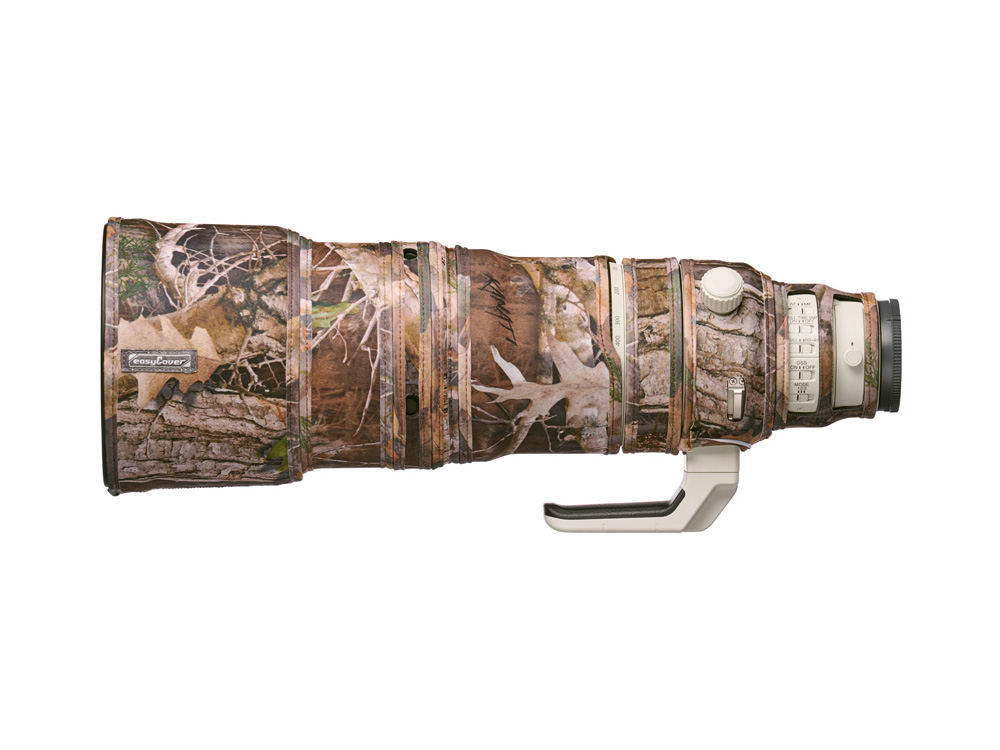 easyCover_Oak_Sony100-400_KC.JPG